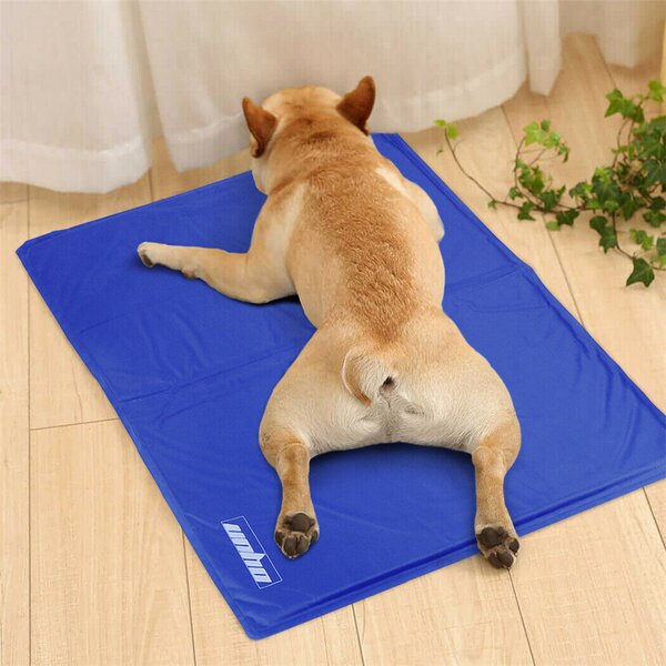 Pecute dog cooling hot sale mat